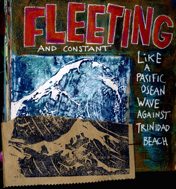 fleeting2